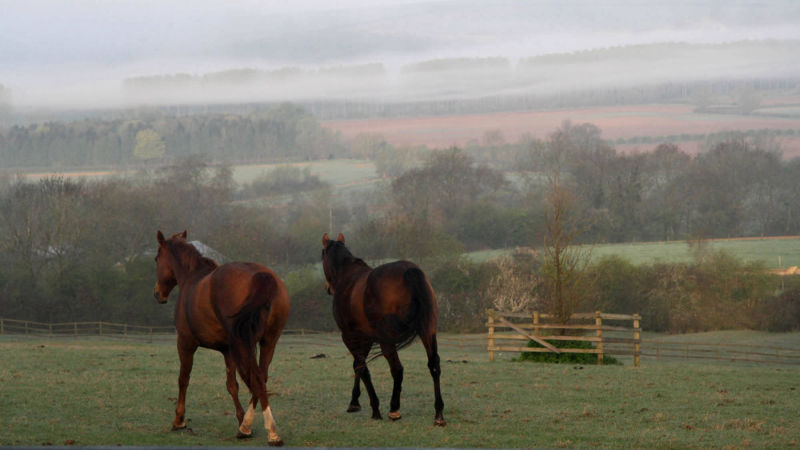 GRH Farm, Great Rissington, Gloucestershire, UK