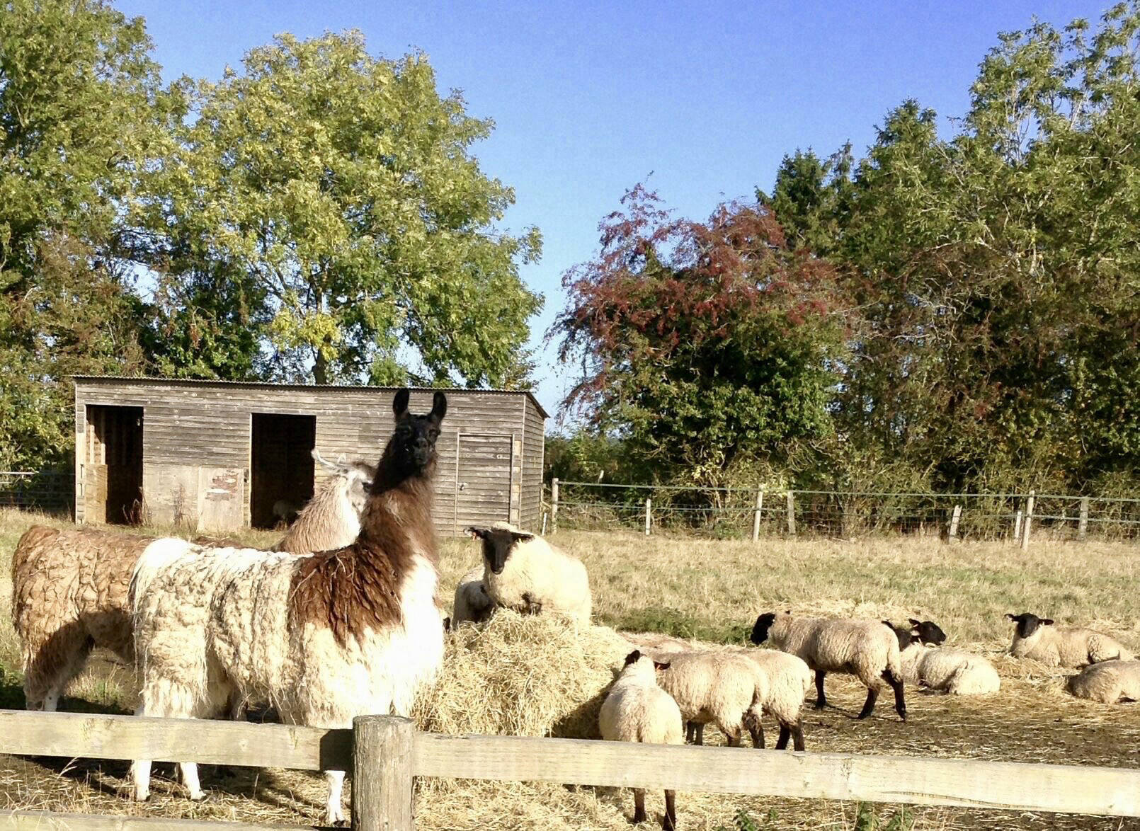 GRH Farm, Great Rissington, Gloucestershire, UK