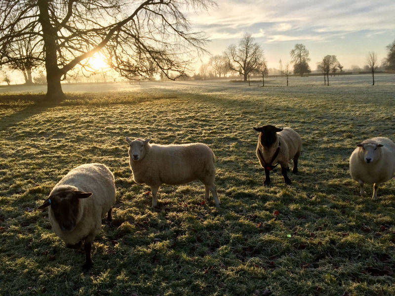  GRH Farm, Great Rissington, Gloucestershire, UK