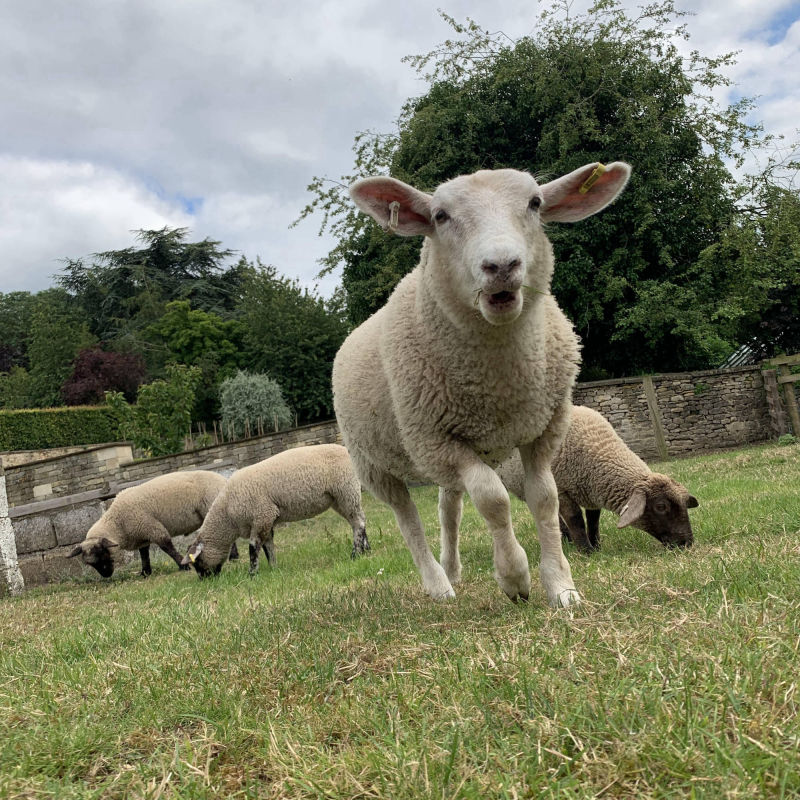 GRH Farm, Great Rissington, Gloucestershire, UK